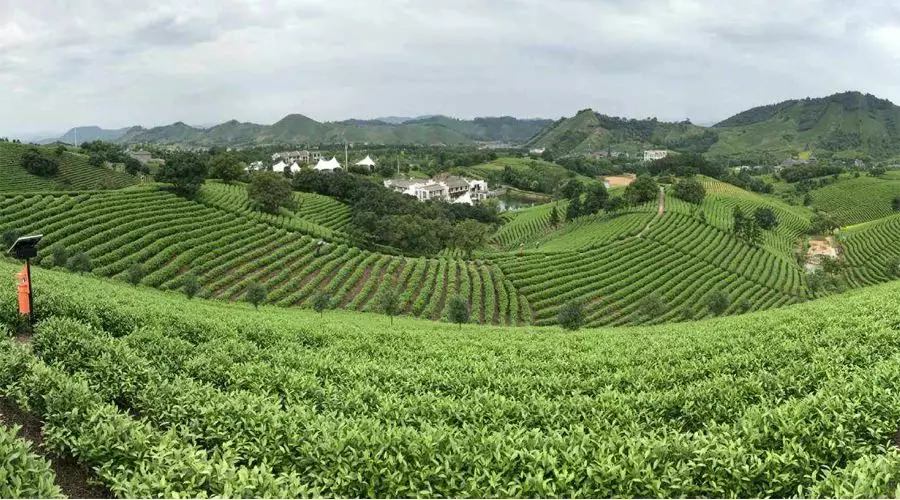 【4天五一小長(zhǎng)假攻略】-西尼機(jī)電預(yù)祝各位“五一勞動(dòng)節(jié)”快樂(lè)！