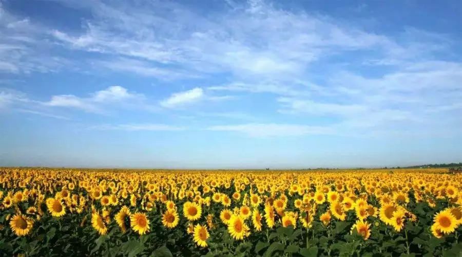 【4天五一小長(zhǎng)假攻略】-西尼機(jī)電預(yù)祝各位“五一勞動(dòng)節(jié)”快樂(lè)！